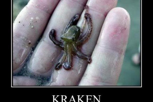 Кракен рабочее зеркало kraken6.at kraken7.at kraken8.at