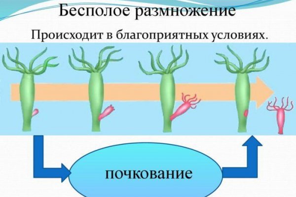 Сайт mega в tor